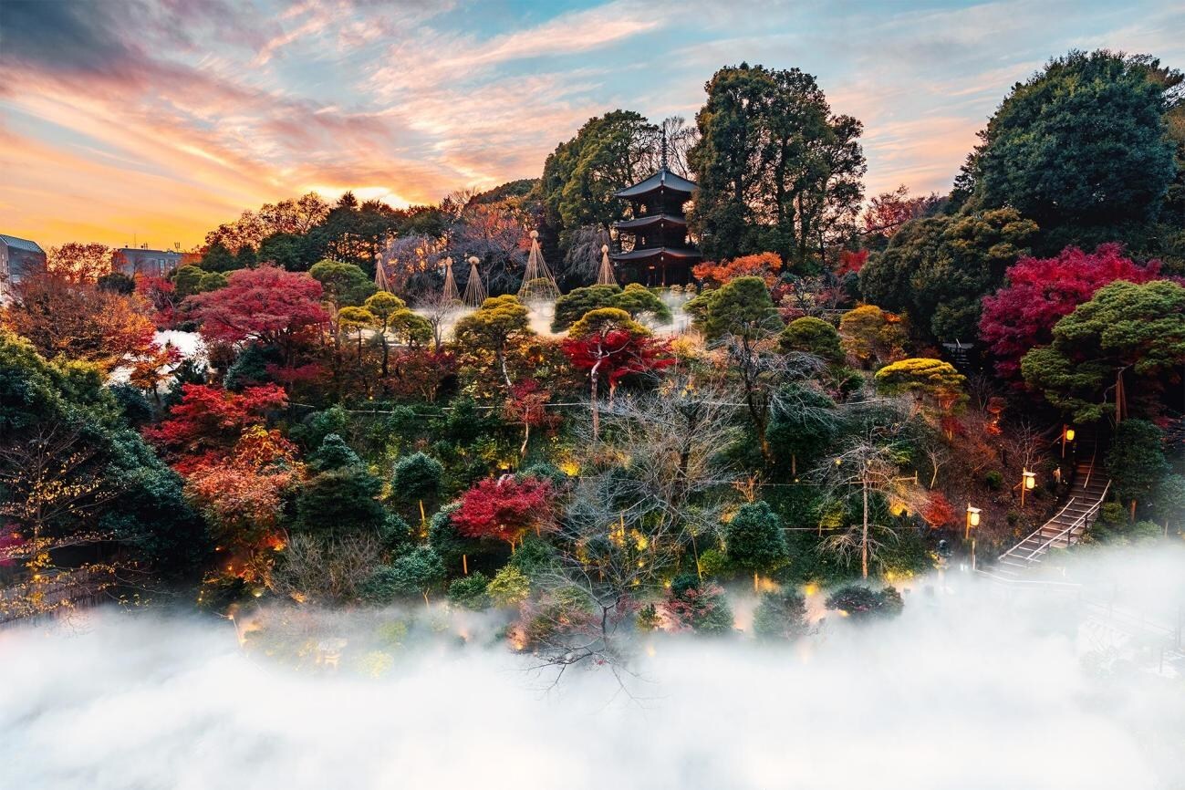 Unable to view the image, Please provide a valid URL.