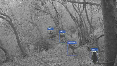 Unable to view the image, Please provide a valid URL.