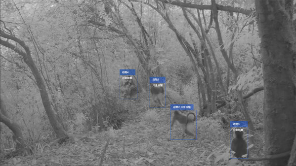 Unable to view the image, Please provide a valid URL.