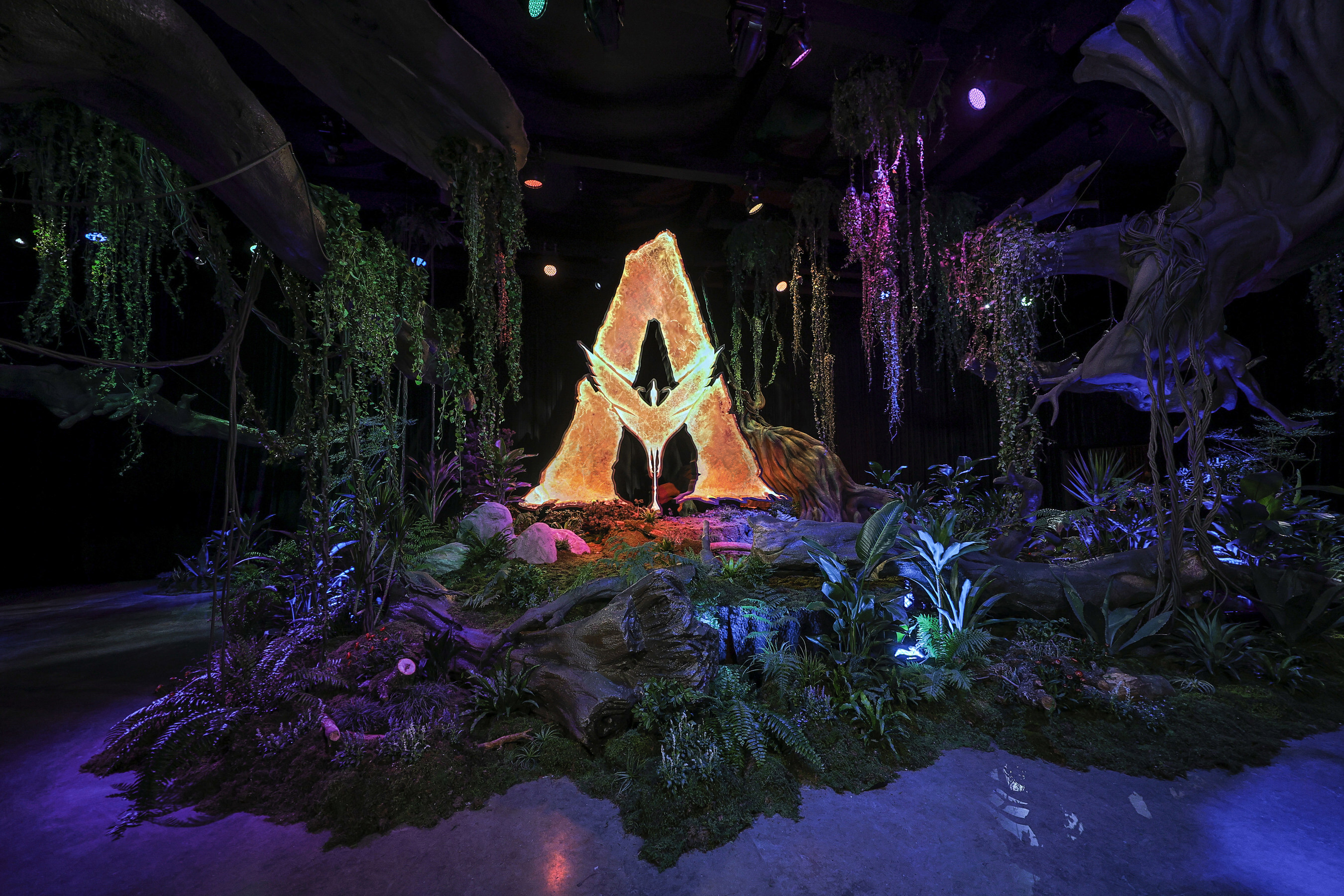 Unable to view the image, Please provide a valid URL.