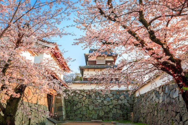 Unable to view the image, Please provide a valid URL.