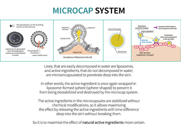 Microcap system formula based on acetyl hexapeptide and lecithin encapsulates active ingredients in a liposome-formed sphere to prevent them from being destabilized