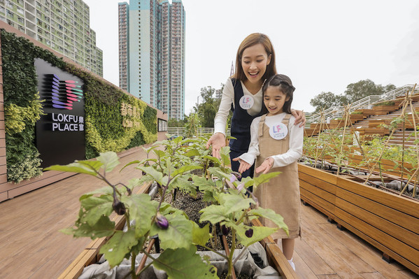 Lok Fu Place has become the only shopping centre in Kowloon with an outdoor urban farm, which is filled with various species of organic herbs, vegetables and fruits.