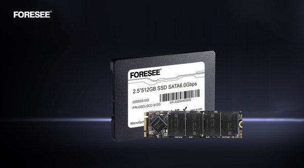 FORESEE G500发布，江波龙国产固态硬盘再发声