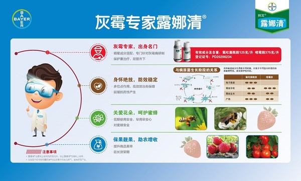 “灰霉专家”拜耳露娜清®于2020年4月在中国取得正式登记
