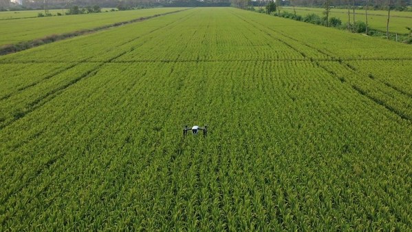遥感无人机拍摄高清农田地图