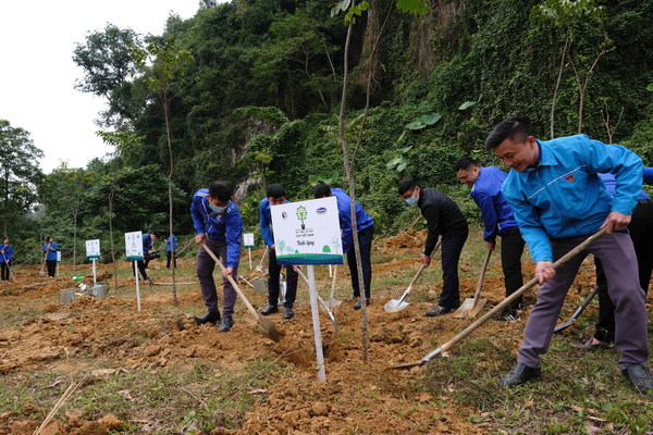나무 심기 활동에 참여하는 지역 주민들