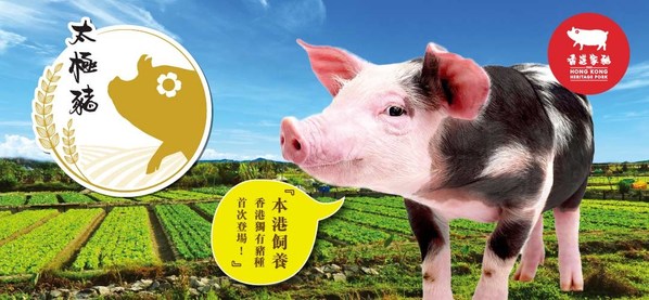 Hong Kong Heritage Pork Consolidates Local Supply Chain and Provides Fresh Pork to the Hong Kong Market