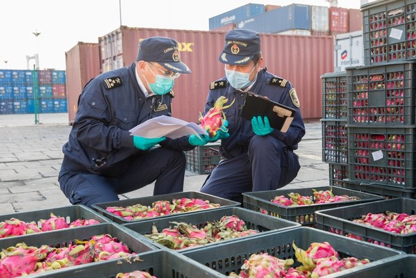 Xiamen Customs officers examine imported fruit. [Photo provided to China Daily]