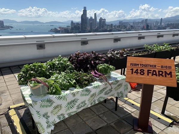 148 Farm on 148 Electric Road is a lush urban garden with mesmerising views of the Victoria Harbour.