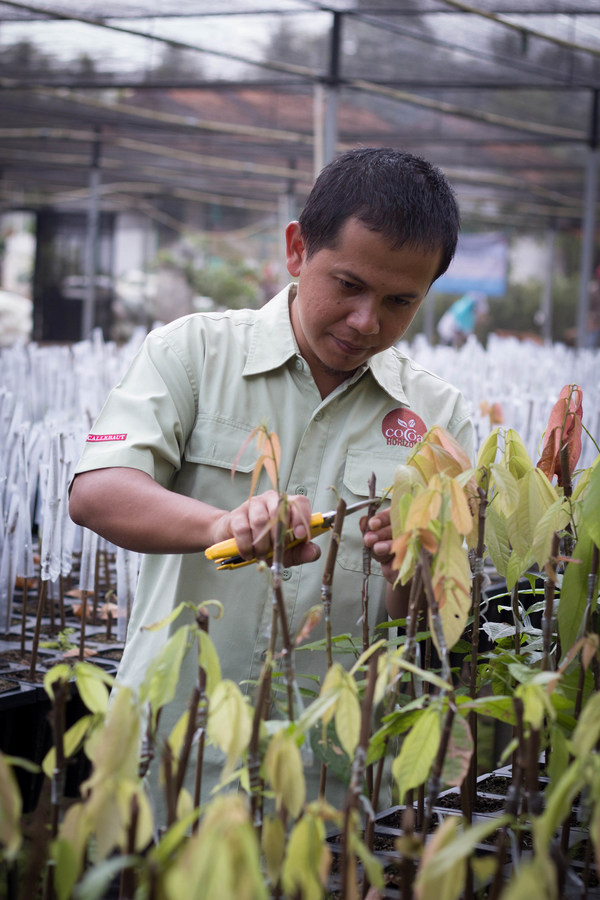 Van Houten Professional kelak menjadi merek mass market pertama di Indonesia yang menawarkan kakao yang dipasok secara berkelanjutan dalam program "Cocoa Horizons". Program tersebut meningkatkan mata pencaharian para petani kakao dan komunitas mereka di sejumlah wilayah, seperti Sulawesi