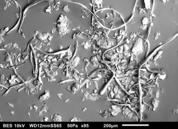 戴森的灰尘样本含有皮屑、头发、花粉、细微颗粒物等各类可见和不易见的成分（在显微镜下真实画面）