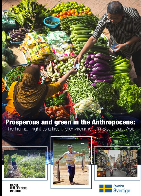 Prosperous and Green in the Anthropocene: The human right to a healthy environment in Southeast Asia（人類の時代における繁栄とグリーン：東南アジアの健全な環境に対する人権）