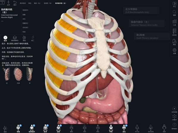 爱思唯尔旗下3D4Medical发布中文版Complete Anatomy