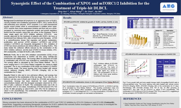 Antengene Presented Preclinical Data Demonstrating Potent Synergistic Effect of the Combination of ATG-010 (Selinexor) and ATG-008 (Onatasertib) for the Treatment of Triple-Hit DLBCL