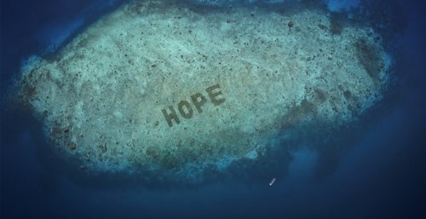 SHEBA®がHope Reef（ホープ・リーフ）を公表し、世界最大の珊瑚復活プログラムが発表されました