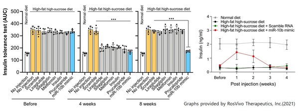 注射新型miRNA糖尿病药物后胰岛素抵抗和胰岛素分泌的变化