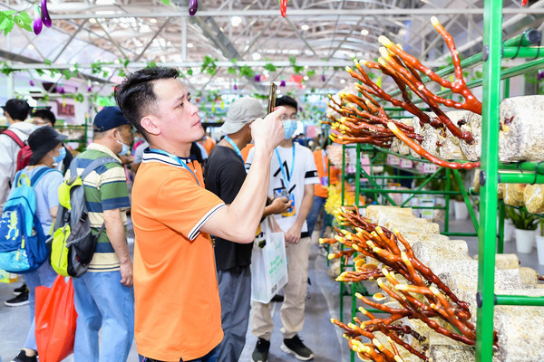 图4：中国食用菌行业“规模以上”生产商、销售商、科技人员70%以上来自福建