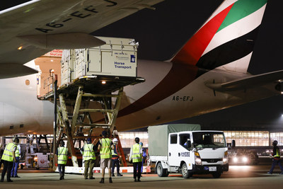 Haneda history-making: the first full cargo load of horses ever to land in Tokyo’s Haneda airport ready for the Tokyo 2020 Olympic Games Equestrian competitions. © FEI/Yusuke Nakanishi