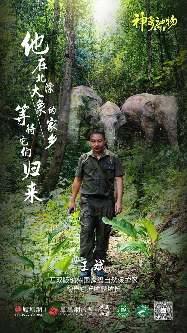 Epic journey of Asian elephant family