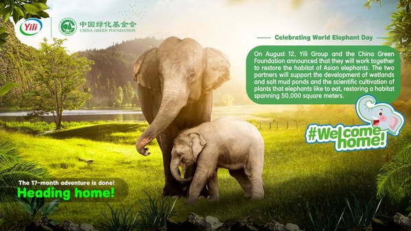 Yili ให้คำมั่นปกป้องถิ่นที่อยู่ของช้างป่า เนื่องในวันช้างโลกปี 2564