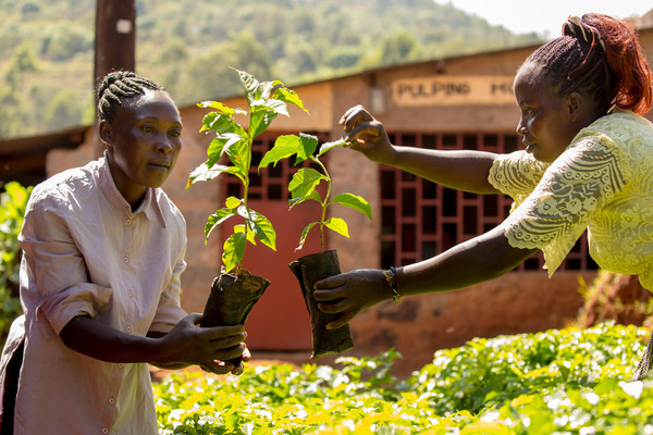 'Keep your promises' - COP26 climate call from 1.8 million Fairtrade farmers to world leaders