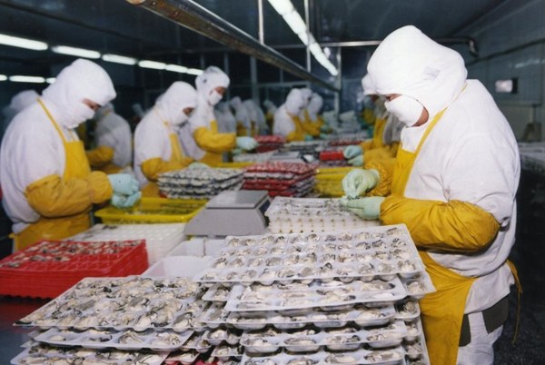 Oyster processing facility