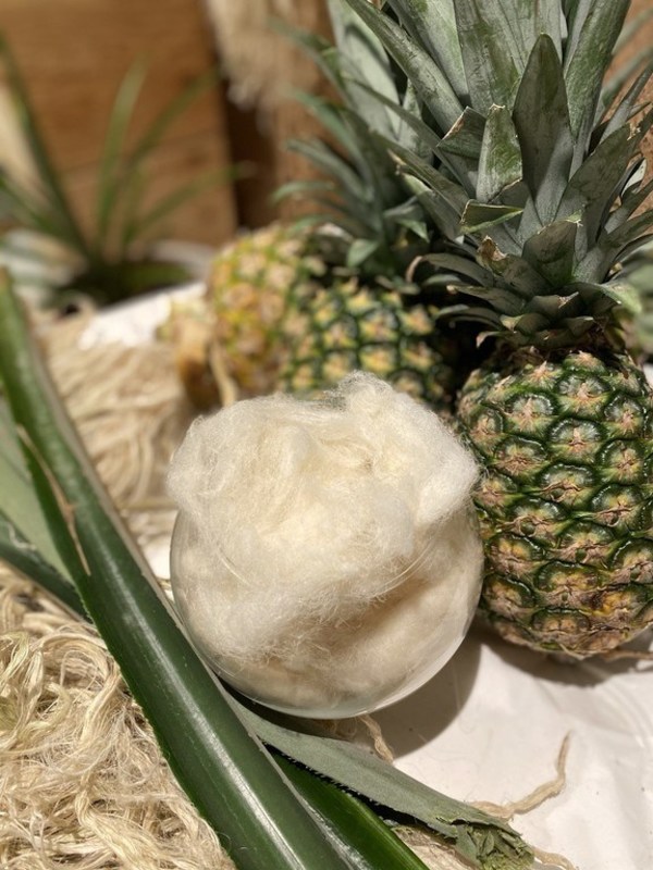 NEXTEVO produces sustainable textiles (like Ready-to-Spin fibers) made from pineapple leaf waste