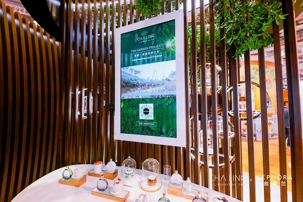 “Tea Garden Project茶灵·保育茶林计划”