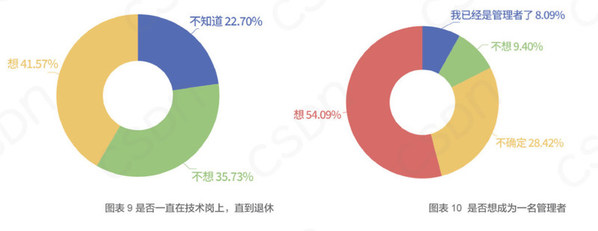 图源：CSDN 发布的《2020 中国开发者调查报告》