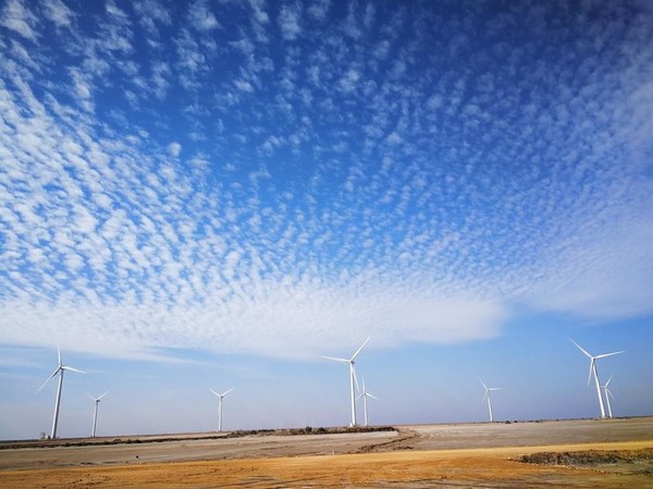 A wind farm of the Dawood Wind Power Project developed by PowerChina in Pakistan