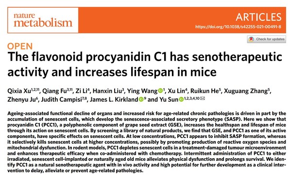 《The flavonoid procyanidin C1 has senotherapeutic activity and increases lifespan in mice》
