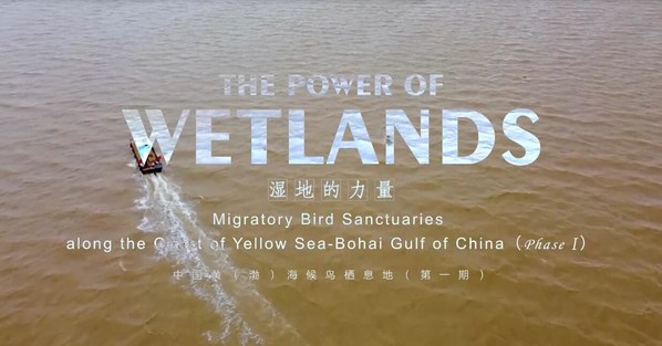Jiangsu Culture: The Power of Wetlands
