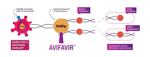 Figure Mechanism of Antiviral Action of Avifavir® INN favipiravir