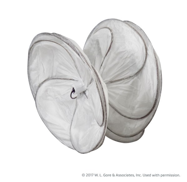 GORE® CARDIOFORM Septal Occluder Marks 10 Years of Improving Lives