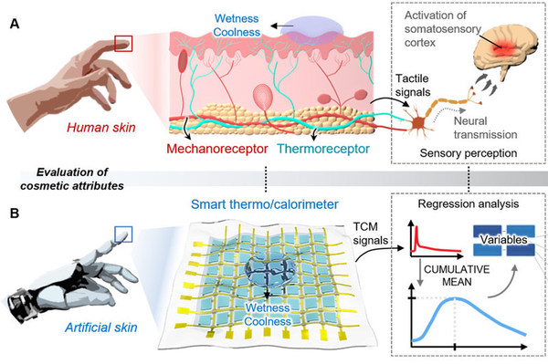 Amorepacific Develops the World's First Tactile Sensor That Measures Skin Sensations