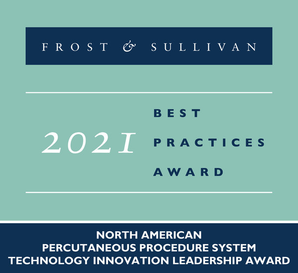 2021 North American Percutaneous Procedure System Technology Innovation Leadership Award