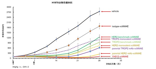 图8. YH012在NCI-H1975模型药效结果