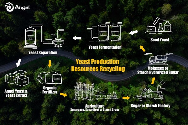 Angel Yeastは酵母発酵排水中の有機物をリサイクルして農作物用肥料を生産し、循環型サプライチェーン構築への道を切り開く