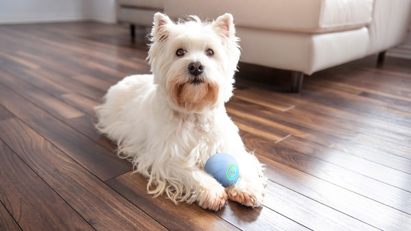 Cheerble Introduces its latest wicked series pet toy - Wicked Ball SE