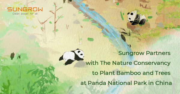 Sungrow Partners with The Nature Conservancy to Plant Bamboo and Trees at Panda National Park in China
