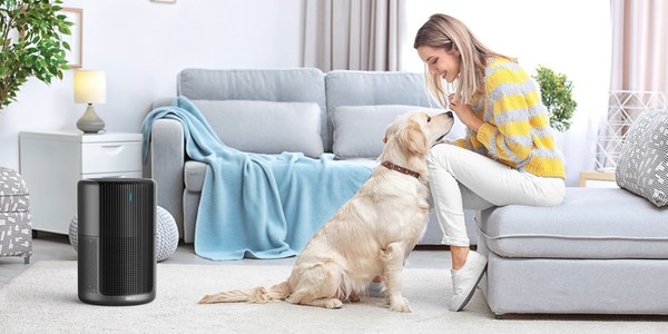 Dreo's New Air Purifier Banishes Pet Hair & Dander Quickly and Efficiently