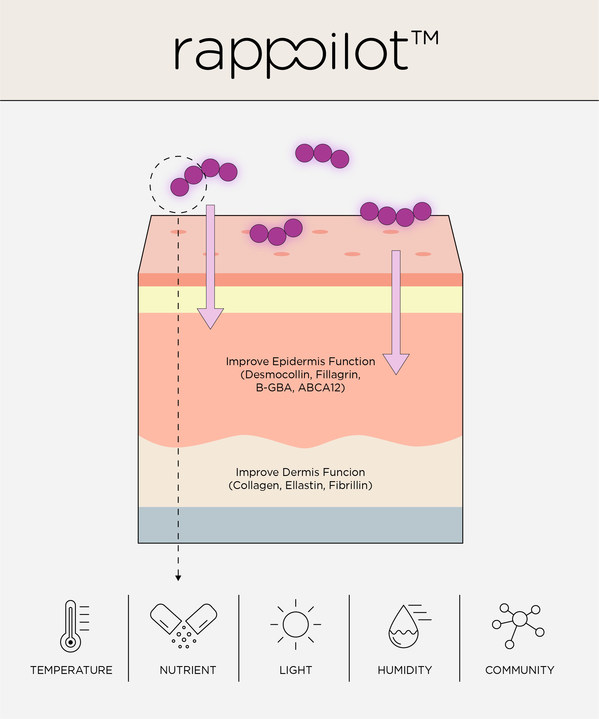 第二代皮肤微生物群Rappoilot™的示意图