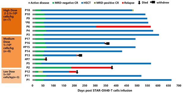 #CNSL    *relapsed after allo-HSCT before STAR-OX40-T cells