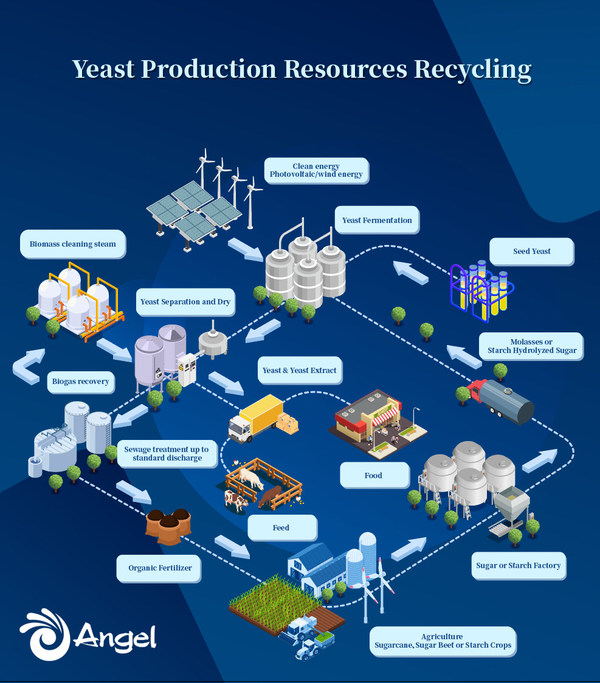 Angel Yeast, 탄소 배출량 감축 위해 친환경적 신에너지 조달 확대