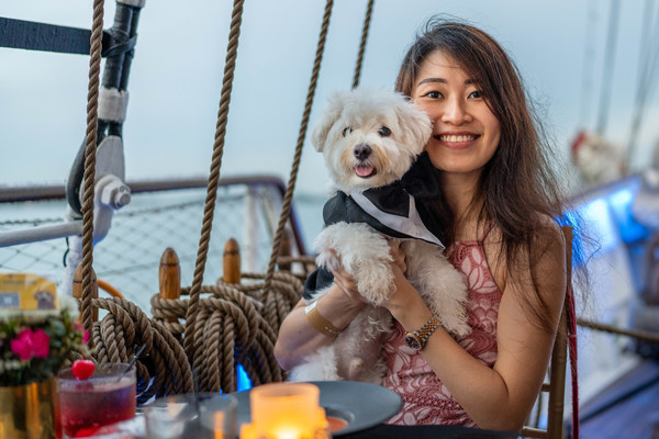 Dog Cruise Singapore Tall Ship Adventures