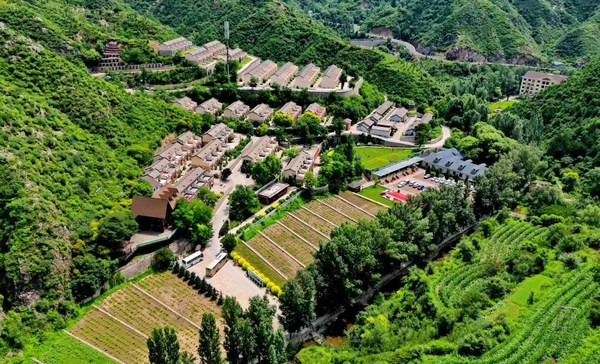 Xinhua Silk Road：中国北部の霊丘県が農村開発の効果的な方法として有機農業を採用