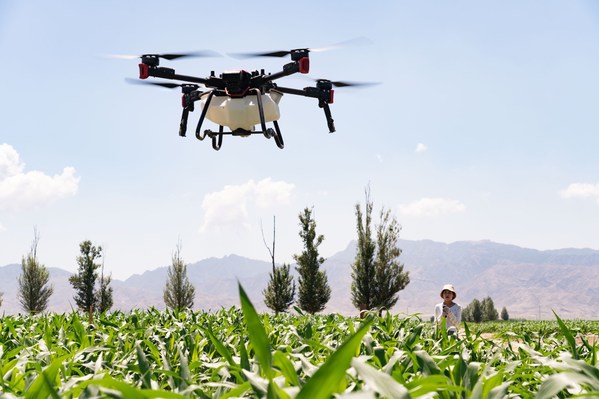 A young pilot used smartphone to control XAG P100 Agricultural Drone for farm operation
