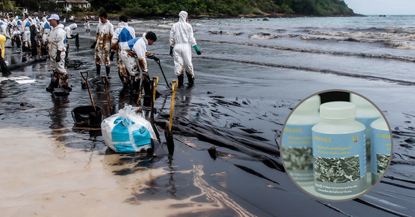 海洋流出油を除去するバイオ製品