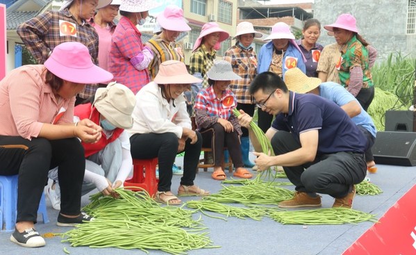 Con đường tơ lụa Tân Hoa xã: Quận Hưng Tân, Thành phố Lai Tân, Quảng Tây nỗ lực thúc đẩy phát triển nền nông nghiệp hiện đại